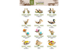 Корзинка сервировочная 1 л 24,2*19*18,3 см "Уточка"