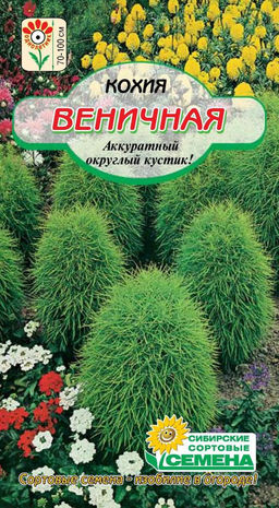 Кохия веничная 0,2гр (ссс)