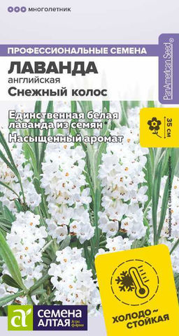 Цветы Лаванда Снежный колос английская/Сем Алт/цп 5 шт. многолетник (2029 / 673)