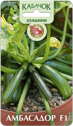 Цуккини Амбасадор F1
