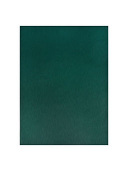 Набор тетрадей Calligrata. VIGO, А4, 2 штуки, 96 листов, обложка из бумвинила, зелёные