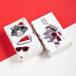 Носки мужские новогодние «Енот» размер 41-44, набор 2 пары