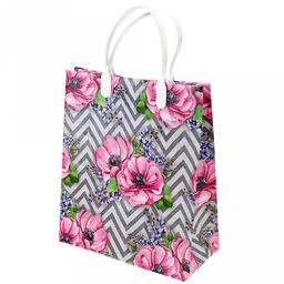 Пакет подарочный мягкий пластик с пластиковой ручкой 23х27см "Рандеву", 150 мкм, ламинированный (Россия)