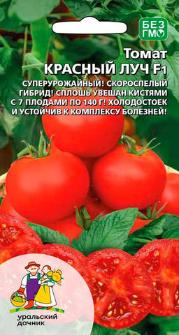 Томат КРАСНЫЙ ЛУЧ F1