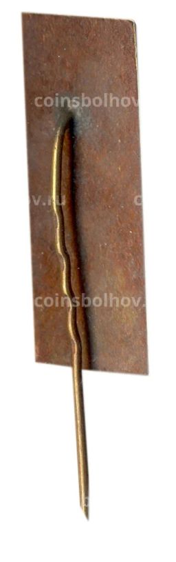 Значок Парчипиус