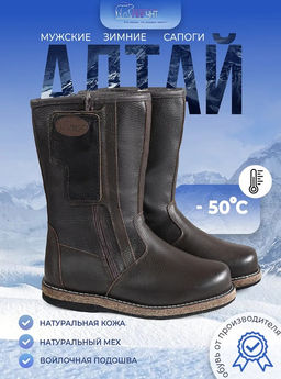 Сапоги мужские Алтай, коричневые, войлочная подошва