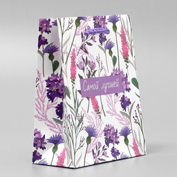 Цена за 2 шт. Пакет подарочный ламинированный, упаковка, «Самой лучшей», S 12 х 15 х 5.5 см