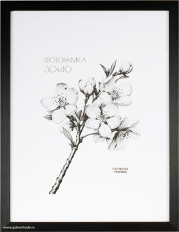 Фоторамка 30x40 / ZR208B-22 / ф - Галеонтрейд фото 3