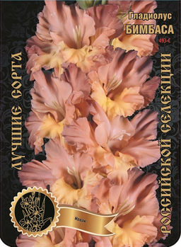 Гладиолус Бимбаса 493,Новак Экстра 7шт (Ф)