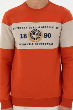 Мужской свитшот с плиткой Неожиданная скидка в корзине - U.s. polo assn фото 6