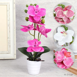 Цветочная композиция Орхидея 31 см / LM-797 /уп 72/