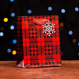 Цена за 12 шт. Пакет ламинированный Красный квардрат 11,5 х 14,5 х 6 см