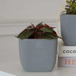 Горшок для цветов с дренажной системой Фабио VipSet 1,95 л серый (AMF-1,95-03) - Крассула фото 2