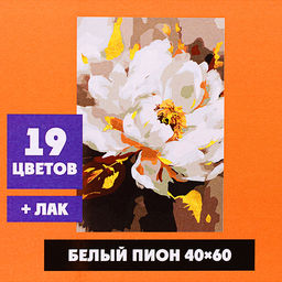 Картина по номерам "Белый пион" 40х60