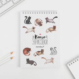 Скетчбук Кот А5, 40 л, 100 г/м