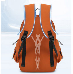 Рюкзак SR-679-Orange - Ferro фото 8