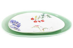 Набор тарелок 2 пр. 19,5*15,5*2 см + 24,7*19,5*2,7 см Ботанический атлас - Elan gallery фото 15