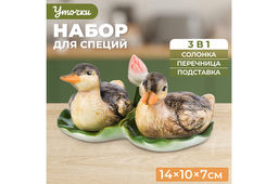 Набор для специй 3 пр. 40 мл 14*10*7 см "Уточки", солонка, перечница, подставка