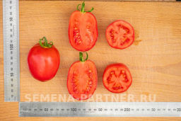 Томат Синдбад - Партнер фото 5