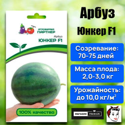 Арбуз Юнкер - Партнер фото 5