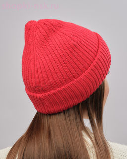 44903 Колпак (57)