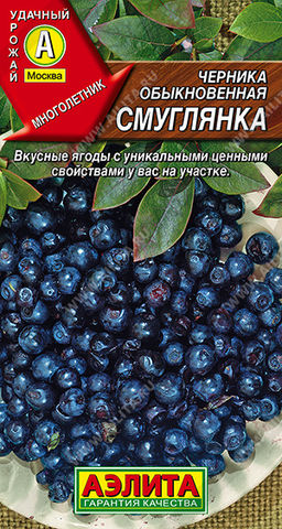 Черника обыкновенная Смуглянка ---