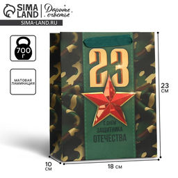 Цена за 2 шт. Пакет подарочный ламинированный, упаковка, «С 23 февраля», MS 18×23×10 см