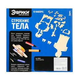 Набор для опытов Строение тела, 24 элемента - Эврики фото 7