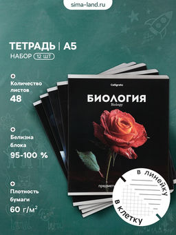 Тетради предметные 12 шт. «Черная серия», 48 листов, со справочной информацией