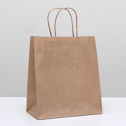 Пакет крафт без печати, круглая ручка 22 х 12 х 25 см, набор 20 шт.