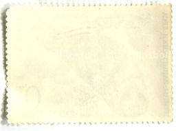 Марка Птицы  защитники леса  Сова сипуха 1979 год