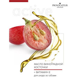 Provocateur Помада Стойкая Rouge Allure 42 винно-красный