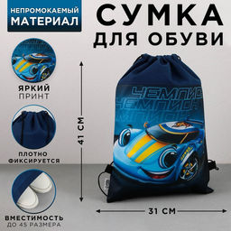 Сумка для обуви Чемпион, нетканное полотно, размер 41х31 см