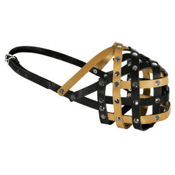 Намордник кожаный "Мэд", №5, желто/черный, обхват 30-32см я050105жч 99ред99 050105ч-б 050105ч-б