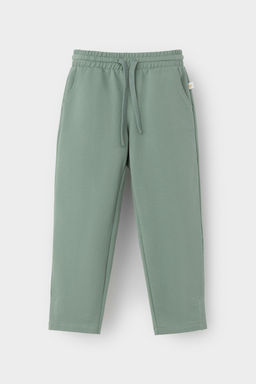 КР 400771/весенний зеленый к531, брюки