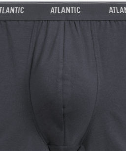ATLANTIC 2RMH-011 Трусы шорты - набор (2 шт.) графитовый + каберне фото 4