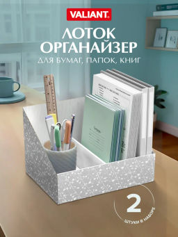 VAL WD-VP-300 Лоток - органайзер для бумаг, 30*23*20 см., набор 2 шт., WOOD DEER, шт