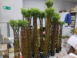 Живое плетёное дерево, высота 100 см - No name фото 4