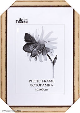 Фоторамка 40х60 / 4205С-213А /