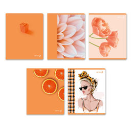 Светоч 96Т16 Тетрадь ученическая общая, матовая ламинация, A5 96 л. на скобе 65 г/кв.м , белизна 100 % 5 шт. клетка 01005 Абрикосовый краш