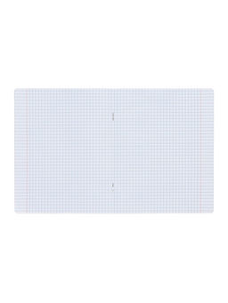 Набор тетрадей 24 листа в клетку Calligrata «Однотонная Классика с уголком», обложка мелованный картон, серые листы, 10 шт.