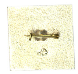 Значок ИР 77