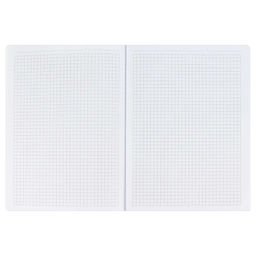 Записная книжка, А5+, арт. 52903/ 15 ШАГРЕНЬ ЗЕЛЁНЫЙ С АРОМАТОМ ЯБЛОКО - Феникс+ фото 11