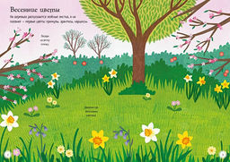 Прекрасные цветы. Янг К. - Махаон фото 2