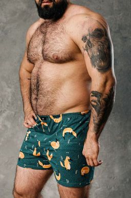 Мужские трусы Happy Fox  фото 2