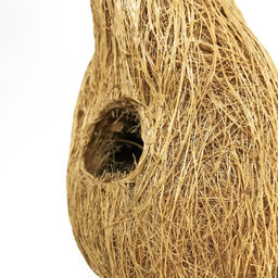 Кокосовое птичье гнездо Fibre Family среднее