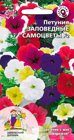 Петуния ЗАПОВЕДНЫЕ САМОЦВЕТЫ