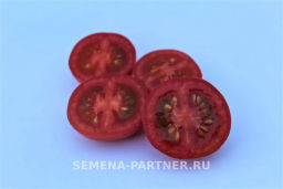 Томат Малиновый Коктейль - Партнер фото 6