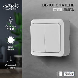 Выключатель Luazon Lighting «Лига», 10 А, 2 клавиши, накладной, белый
