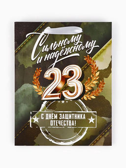 Пакет подарочный ламинированный «23 февраля», MS 18×23×10 см